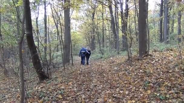 Romantisch paar herfst — Stockvideo