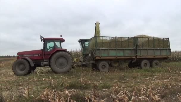 Tractor de cosecha de maíz — Vídeos de Stock