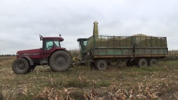 sklizeň kukuřice traktor