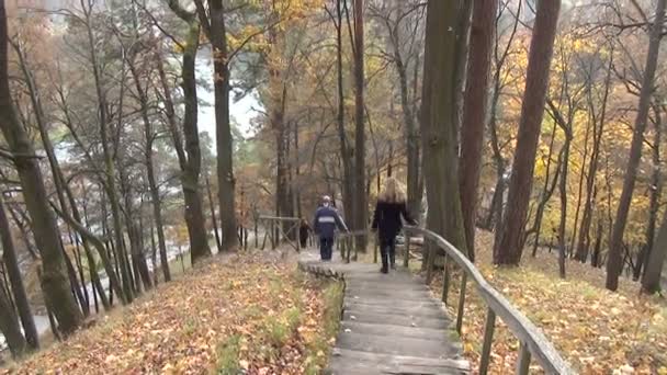 Pareja escalera de madera — Vídeo de stock