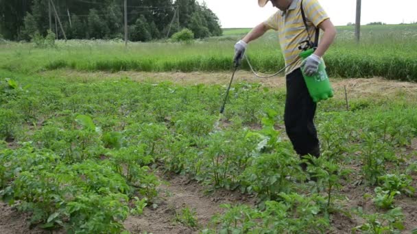 Landwirt sprüht Käfer — Stockvideo