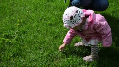 Çocuk çayır çiçek