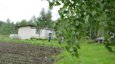 Huş ağacı dalı kadın evi
