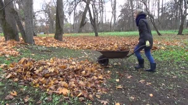 Chica compost wheelbarow — Vídeos de Stock