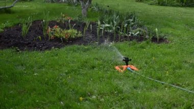 yağmurlama kadın hortum