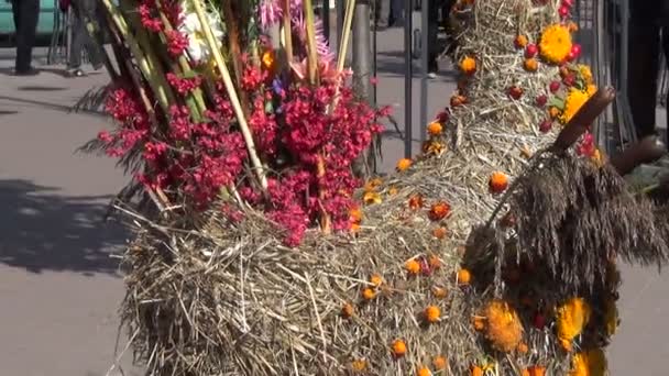 Autumn decoration — Stock Video