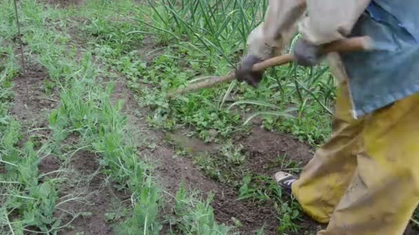 Gartenarbeit — Stockvideo