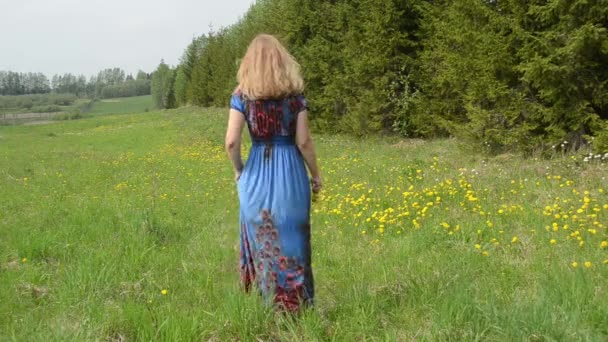 Mujer diente de león flor — Vídeos de Stock