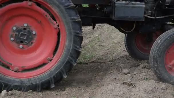 Máquina sembradora de semillas campo — Vídeos de Stock