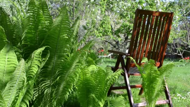 Ξύλινη καρέκλα οπωρωφόρο δέντρο — Αρχείο Βίντεο