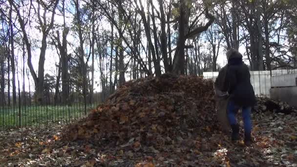 Işçi kompost yaprakları çanta — Stok video