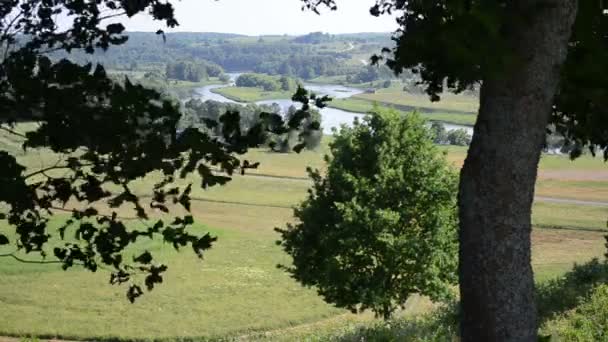 Boom heuvel rivier eiland — Stockvideo