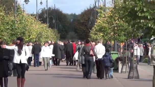 Drzewo jesień ludzi mall — Wideo stockowe