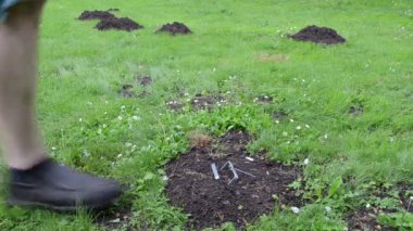 Köstebek hill tuzak çim