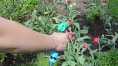 El Hortum çiçek su