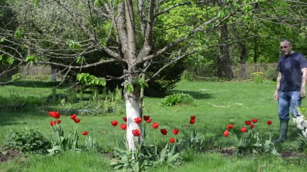 Homme donner des fleurs femme — Video