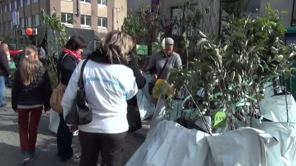 苹果苗木市场 — 图库视频影像