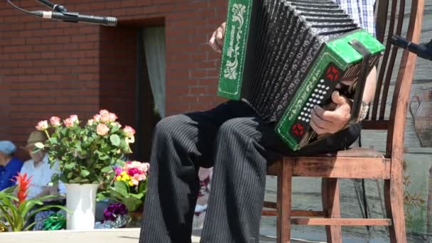 Festival accordeon zomer — Stockvideo