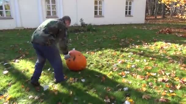 Mann Kürbisrollen Wiese — Stockvideo