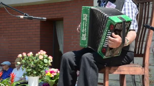 Oude kleine accordeon — Stockvideo