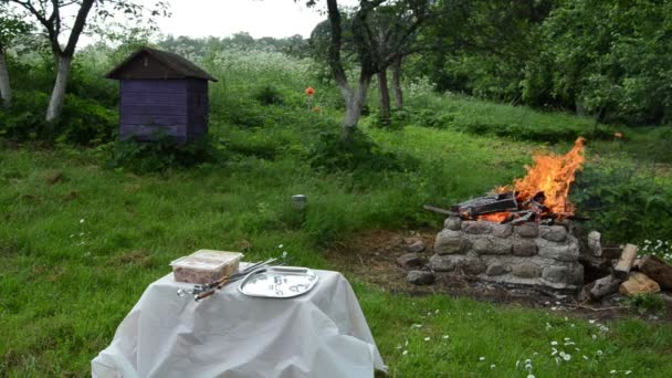 Chimenea barbacoa lista — Vídeo de stock