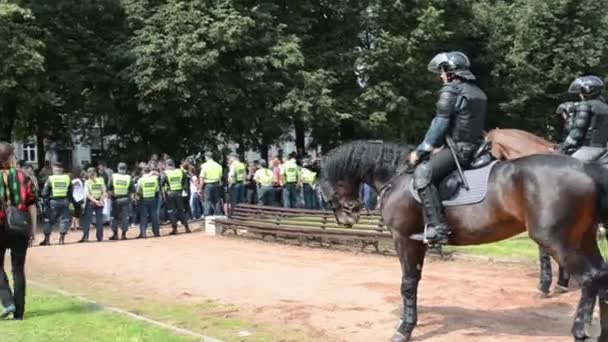 Konie policji — Wideo stockowe