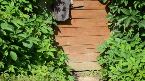 stockage de pot de nourriture fille 