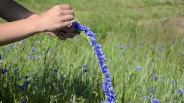 Hands make flower wreath — Stock Video