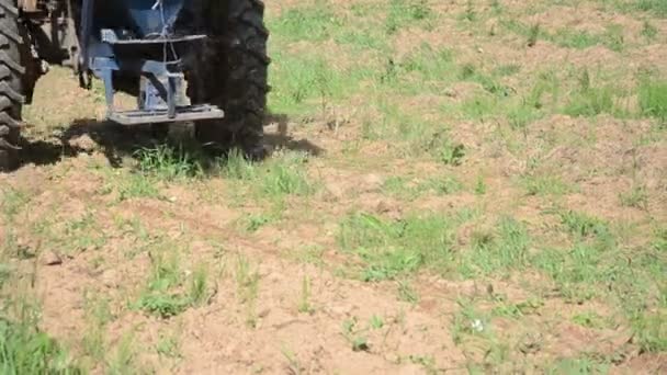Máquina sembradora de semillas campo — Vídeos de Stock