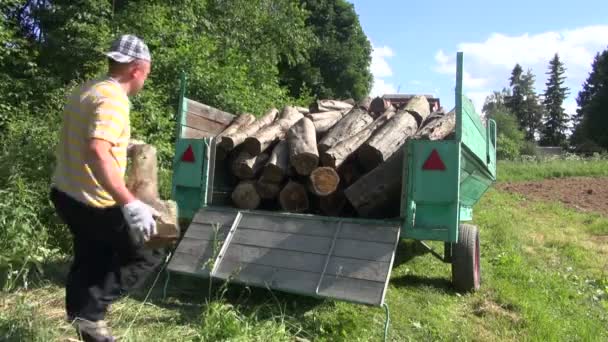 Man belasting log hout aanhangwagen — Stockvideo
