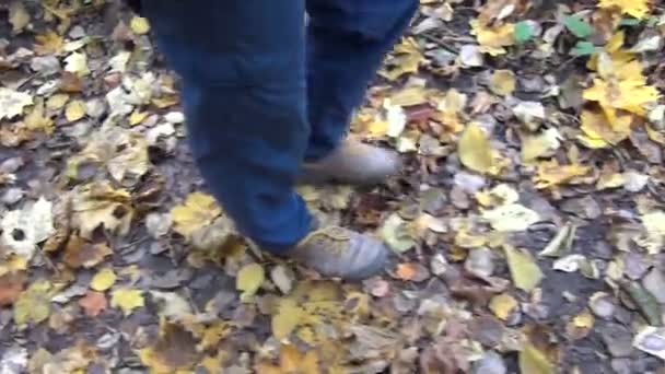 Mann Bein Herbst Blatt — Stockvideo