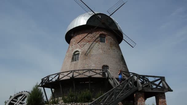 Molen geplaveide — Stockvideo