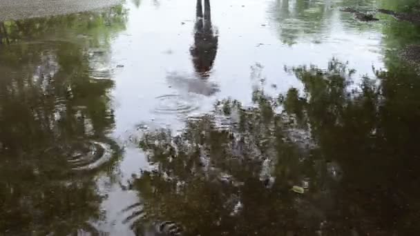 Frau überqueren Wasser einweichen — Stockvideo