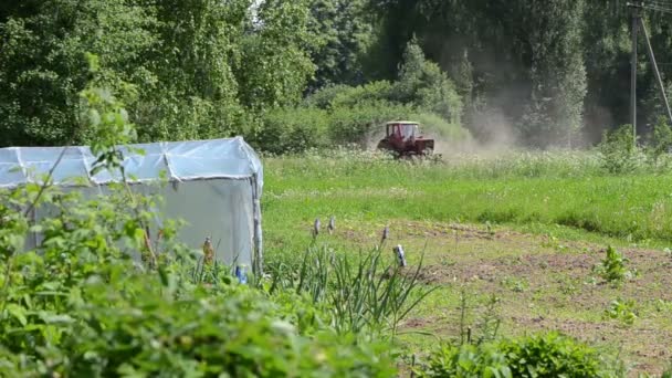 Campo tractor — Vídeos de Stock