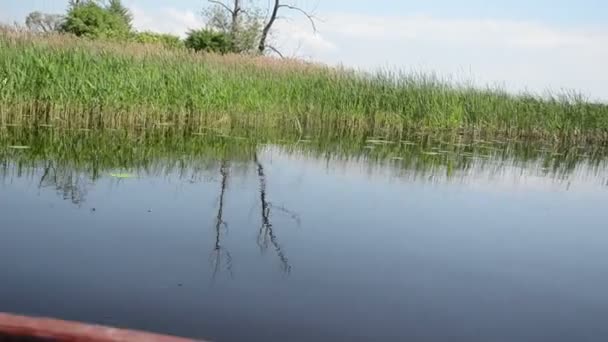Jezioro Oczeret — Wideo stockowe