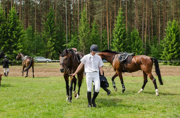 Człowiek rider przygotować wyścigów konnych z przeszkodami bariery — Zdjęcie stockowe