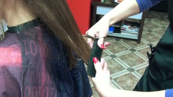 Friseur schneiden Haare Client — Stockvideo