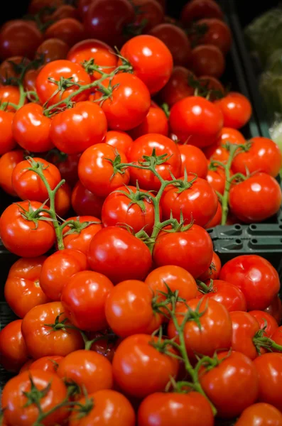 Pozadí červených rajčat s občanským sdružením sprig — Stock fotografie