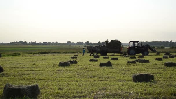 Farmář zatížení seno bale — Stock video