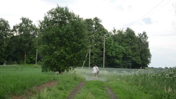 Overgrown road grass mow — Stock Video