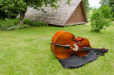 Yaz çim üzerinde kontrbas müzik aleti 