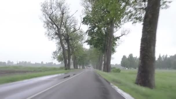 Parabrisas del coche de lluvia — Vídeos de Stock