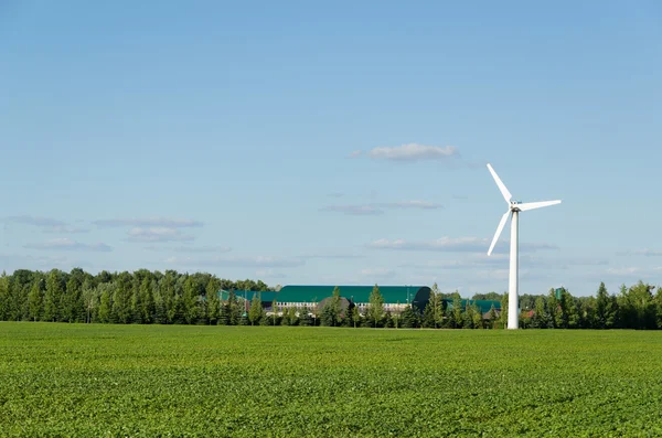 Energieopwekking van windmolen hernieuwbare elektriciteit — Stockfoto