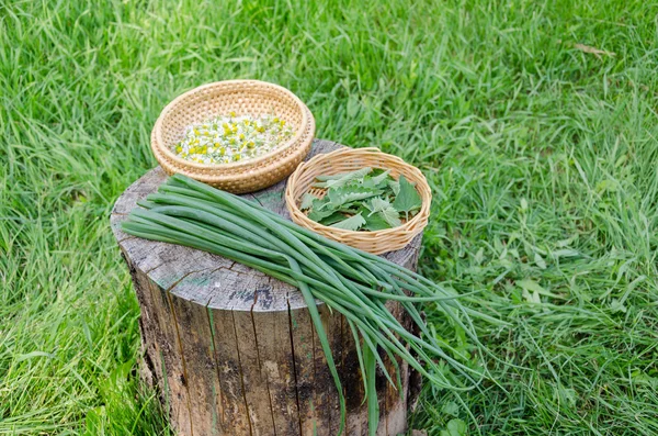 Conjunto de hierbas y jardín de cebolla verde en tocón al aire libre —  Fotos de Stock