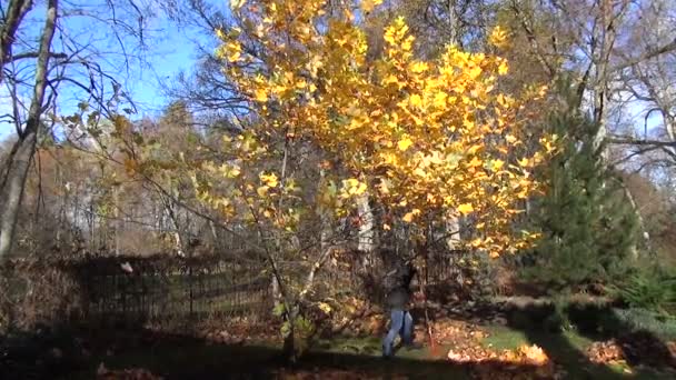 Trädgårdsmästare träd lämnar högen — Stockvideo