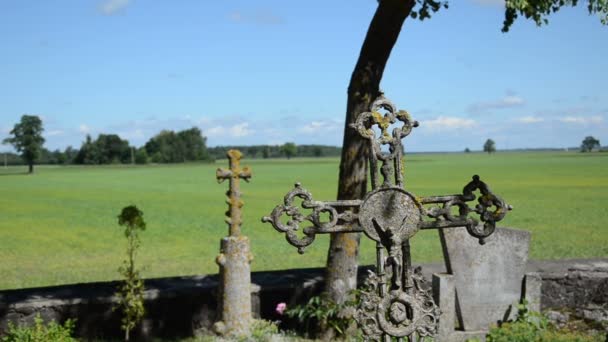 Antiguo cementerio de musgo cruzado — Vídeo de stock