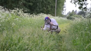 Bahçıvan kesilmiş çimen