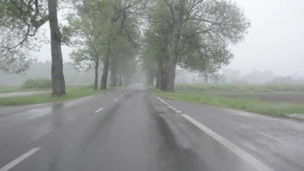 Величезний дощовий автомобіль вітрове скло — стокове відео