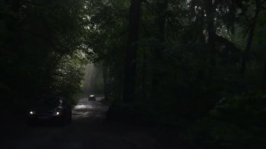 Araba trafiği sis yol