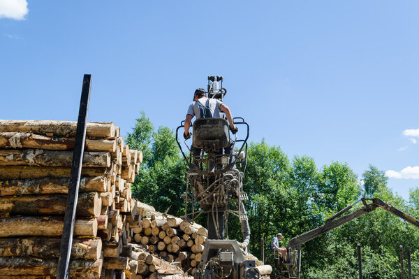 Человек загружает вырубленные деревья с помощью крана в прицеп
 